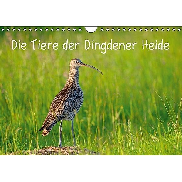 Die Tiere der Dingdener Heide (Wandkalender 2017 DIN A4 quer), Christof Wermter