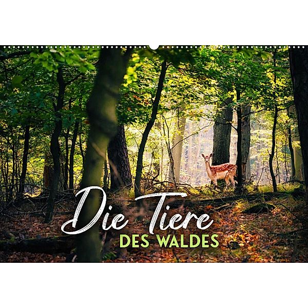 Die Tiere des Waldes (Wandkalender 2023 DIN A2 quer), Happy Monkey