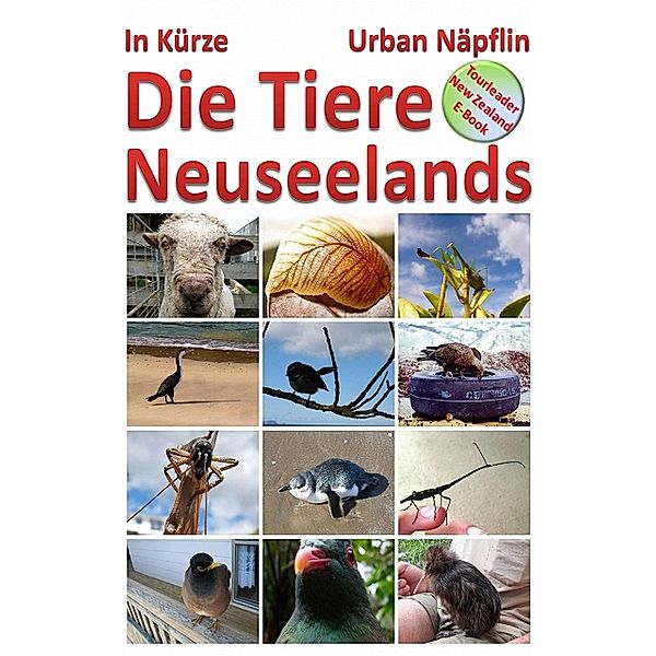 Die Tiere Neuseelands in Kürze, Urban Näpflin