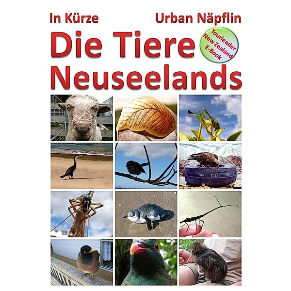 Die Tiere Neuseelands in Kuerze, Urban Napflin