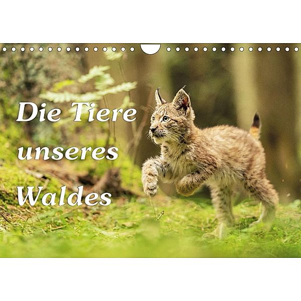 Die Tiere unseres Waldes (Wandkalender 2022 DIN A4 quer), Gunter Kirsch