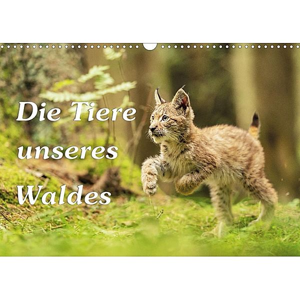 Die Tiere unseres Waldes (Wandkalender 2023 DIN A3 quer), Gunter Kirsch