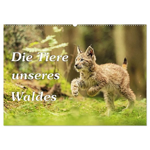 Die Tiere unseres Waldes (Wandkalender 2024 DIN A2 quer), CALVENDO Monatskalender, Gunter Kirsch