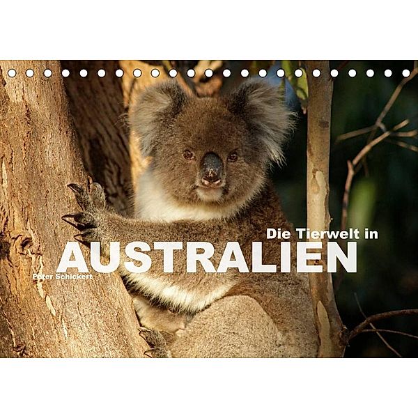 Die Tierwelt in Australien (Tischkalender 2023 DIN A5 quer), Peter Schickert