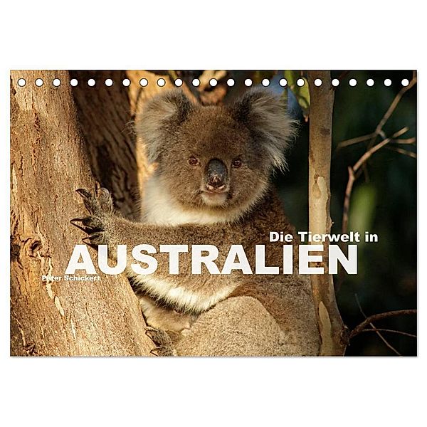 Die Tierwelt in Australien (Tischkalender 2024 DIN A5 quer), CALVENDO Monatskalender, Peter Schickert