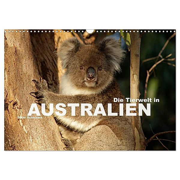 Die Tierwelt in Australien (Wandkalender 2024 DIN A3 quer), CALVENDO Monatskalender, Peter Schickert