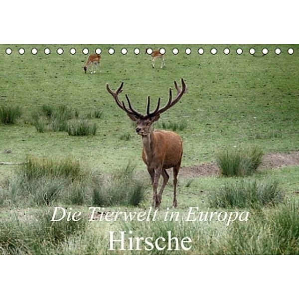 Die Tierwelt in Europa - Hirsche (Tischkalender 2016 DIN A5 quer), Klaudia Kretschmann