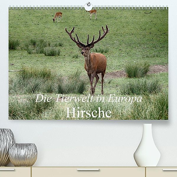 Die Tierwelt in Europa - Hirsche(Premium, hochwertiger DIN A2 Wandkalender 2020, Kunstdruck in Hochglanz), Klaudia Kretschmann