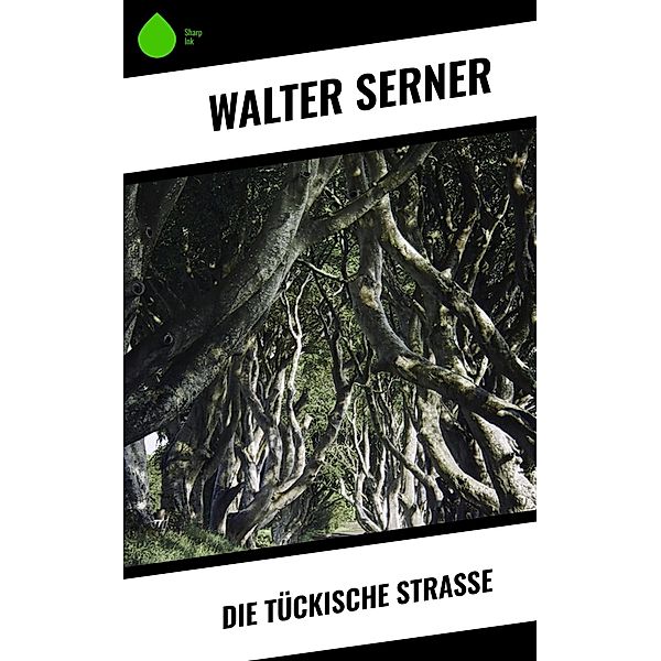 Die tückische Strasse, Walter Serner