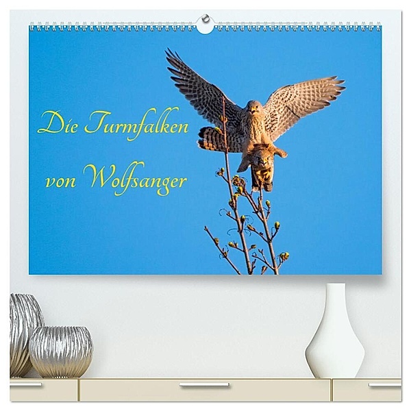 Die Turmfalken von Wolfsanger (hochwertiger Premium Wandkalender 2024 DIN A2 quer), Kunstdruck in Hochglanz, Wilfried Martin (GDT)