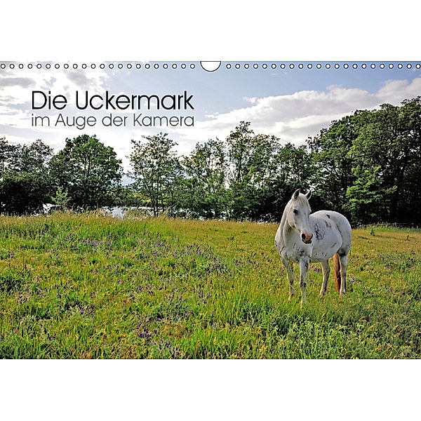 Die Uckermark im Auge der Kamera (Wandkalender 2019 DIN A3 quer), Ralf Roletschek