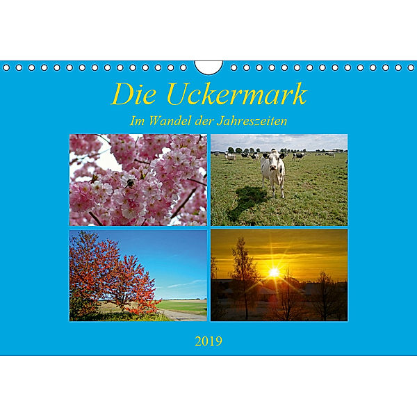 Die Uckermark im Wandel der Jahreszeiten (Wandkalender 2019 DIN A4 quer), Andreas Mellentin