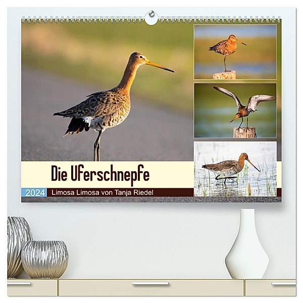 Die Uferschnepfe Limosa limosa (hochwertiger Premium Wandkalender 2024 DIN A2 quer), Kunstdruck in Hochglanz, Tanja Riedel