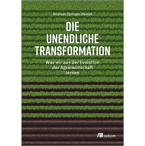 Die unendliche Transformation, Andreas Springer-Heinze