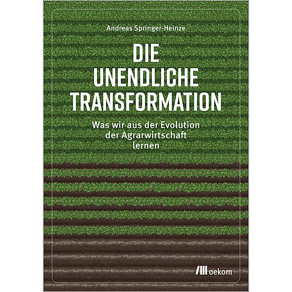 Die unendliche Transformation, Andreas Springer-Heinze