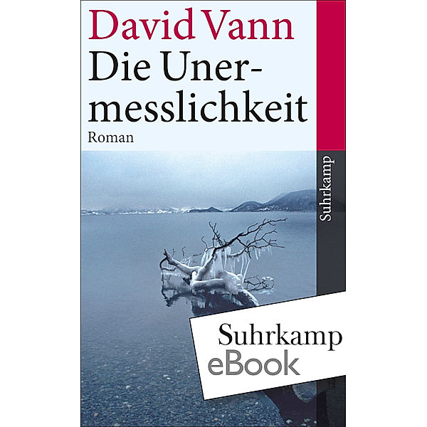 Die Unermesslichkeit, David Vann