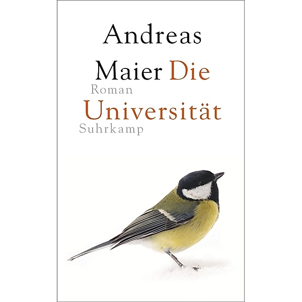 Die Universität, Andreas Maier