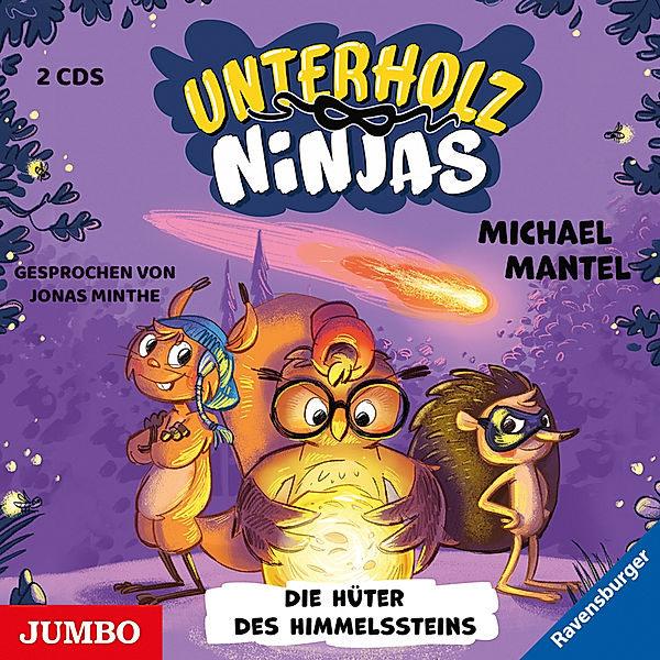 Die Unterholz-Ninjas. Die Hüter des Himmelssteins,2 Audio-CD, Michael Mantel