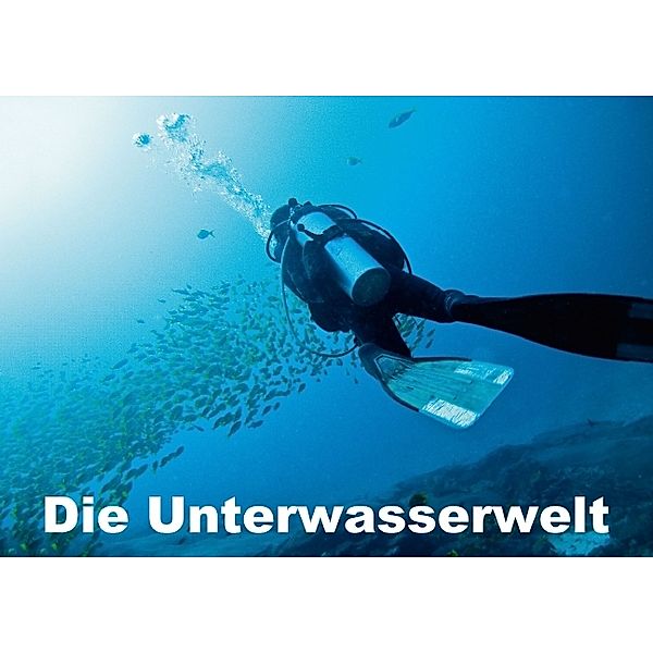 Die Unterwasserwelt (Posterbuch DIN A2 quer), Dieter Gödecke