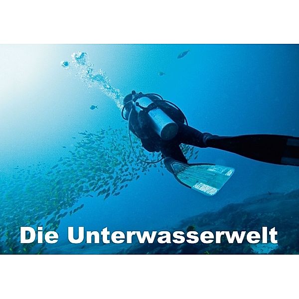 Die Unterwasserwelt (Tischaufsteller DIN A5 quer), Dieter Gödecke