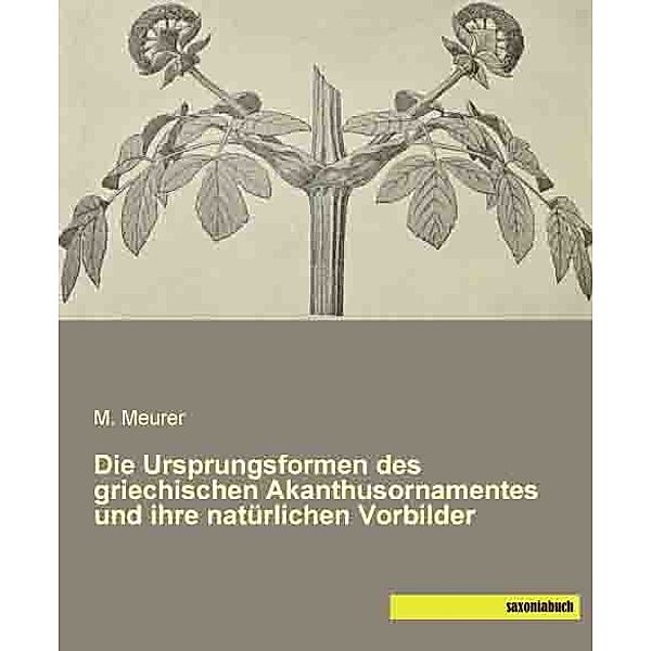 Die Ursprungsformen des griechischen Akanthusornamentes und ihre natürlichen Vorbilder, M. Meurer