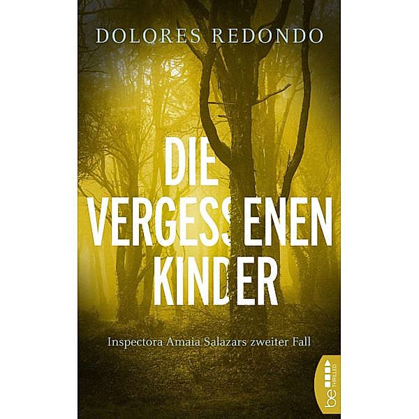 Die vergessenen Kinder / Die Baztán-Trilogie Bd.2, Dolores Redondo