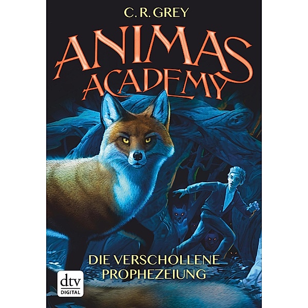 Die verschollene Prophezeiung / Animas Academy Bd.1, C. R. Grey