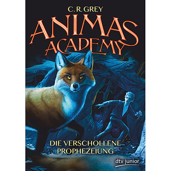 Die verschollene Prophezeiung / Animas Academy Bd.1, C. R. Grey