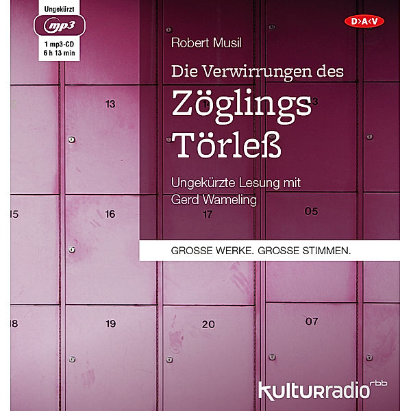 Die Verwirrungen des Zöglings Törless,1 Audio-CD, 1 MP3, Robert Musil