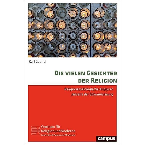 Die vielen Gesichter der Religion / Religion und Moderne Bd.22, Karl Gabriel