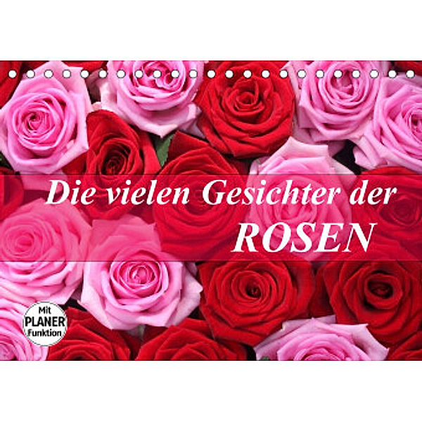 Die vielen Gesichter der Rosen (Tischkalender 2022 DIN A5 quer), Gisela Kruse