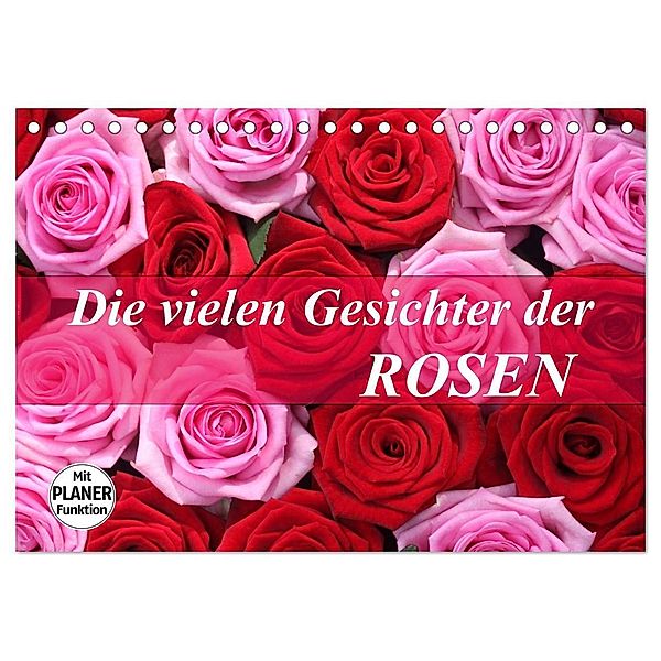 Die vielen Gesichter der Rosen (Tischkalender 2025 DIN A5 quer), CALVENDO Monatskalender, Calvendo, Gisela Kruse