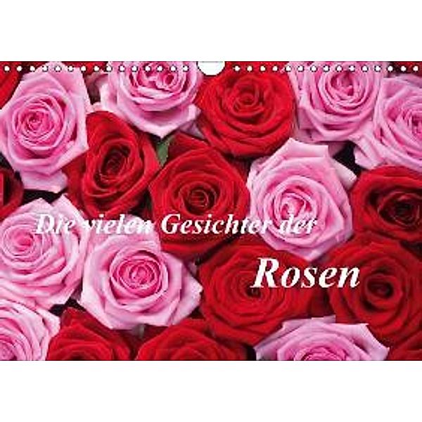 Die vielen Gesichter der Rosen (Wandkalender 2016 DIN A4 quer), Gisela Kruse