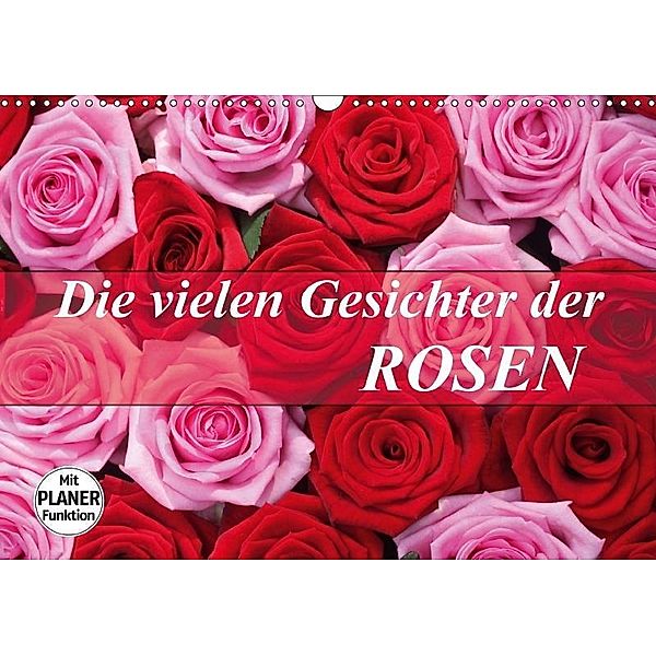 Die vielen Gesichter der Rosen (Wandkalender 2017 DIN A3 quer), Gisela Kruse
