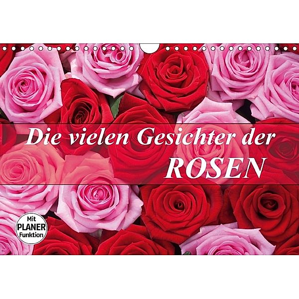 Die vielen Gesichter der Rosen (Wandkalender 2018 DIN A4 quer) Dieser erfolgreiche Kalender wurde dieses Jahr mit gleich, Gisela Kruse