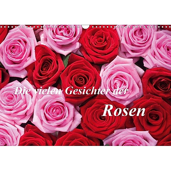 Die vielen Gesichter der Rosen (Wandkalender 2021 DIN A3 quer), Gisela Kruse