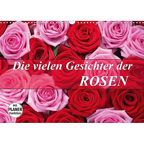 Die vielen Gesichter der Rosen (Wandkalender 2021 DIN A3 quer), Gisela Kruse