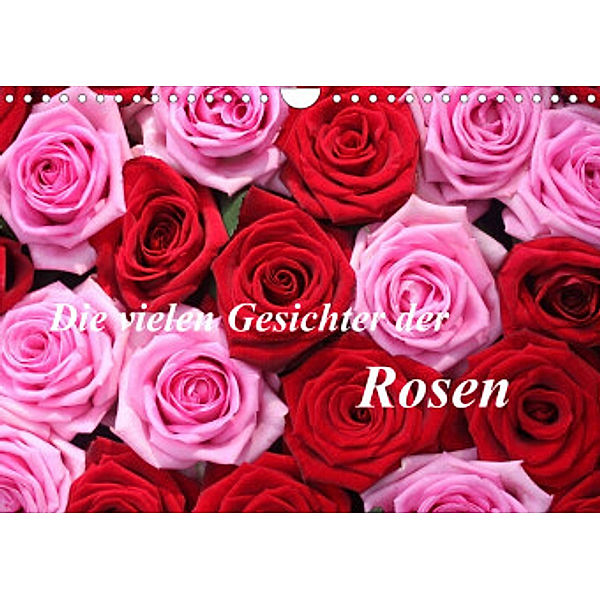 Die vielen Gesichter der Rosen (Wandkalender 2022 DIN A4 quer), Gisela Kruse