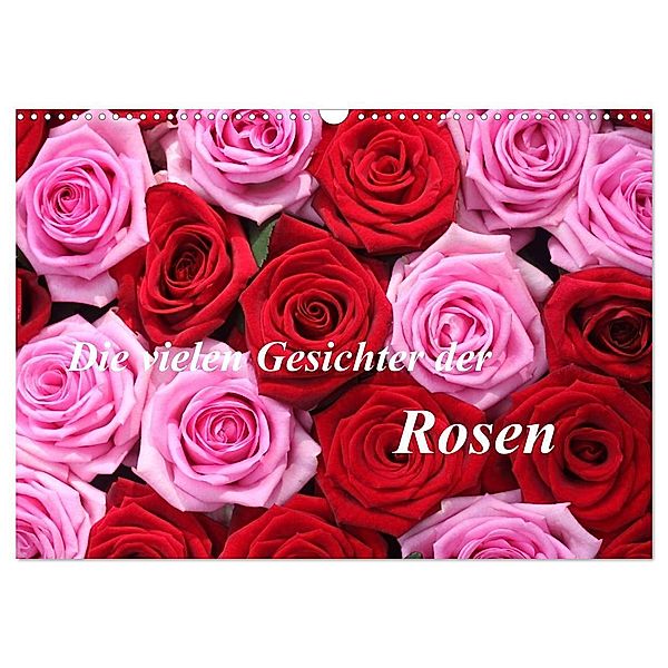 Die vielen Gesichter der Rosen (Wandkalender 2024 DIN A3 quer), CALVENDO Monatskalender, Gisela Kruse