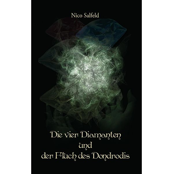 Die vier Diamanten und der Fluch des Dondrodis, Nico Salfeld