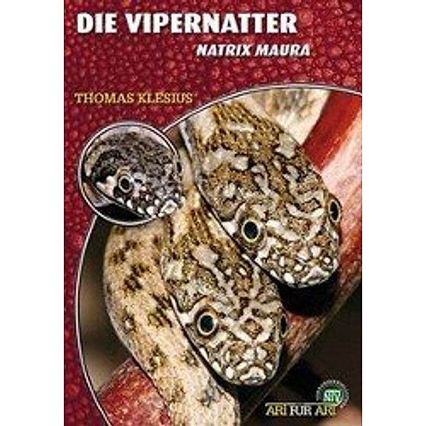 Die Vipernatter, Thomas Klesius