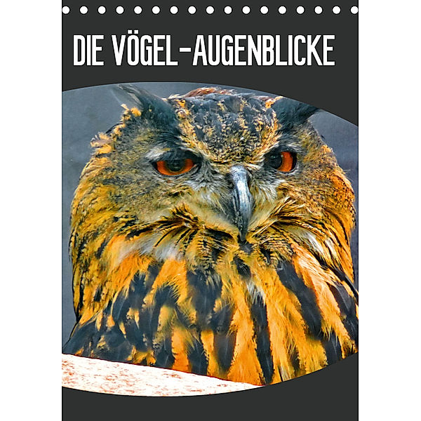 DIE VÖGEL - AUGENBLICKE (Tischkalender 2019 DIN A5 hoch), J. Fryc