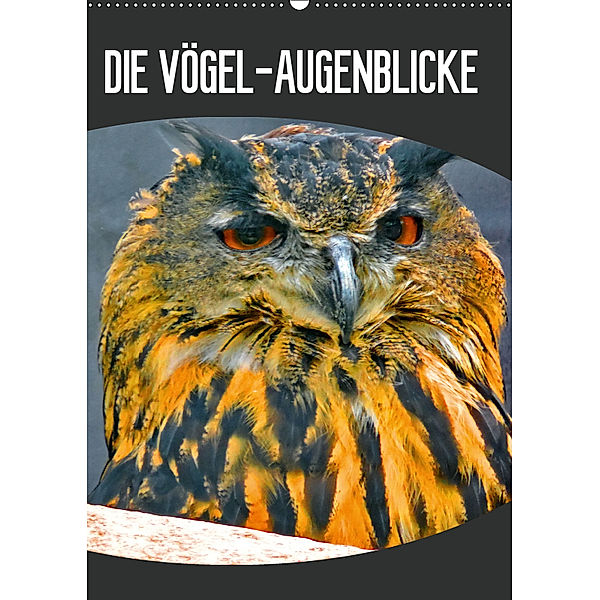 DIE VÖGEL - AUGENBLICKE (Wandkalender 2019 DIN A2 hoch), J. Fryc