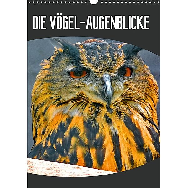 DIE VÖGEL - AUGENBLICKE (Wandkalender 2021 DIN A3 hoch), J.Fryc