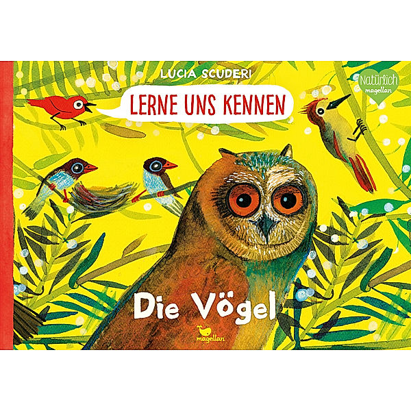 Die Vögel / Lerne uns kennen Bd.2, Lucia Scuderi
