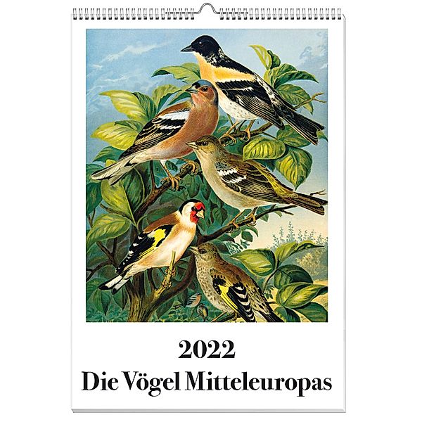 Die Vögel Mitteleuropas Kalender 2022, Johann Friedrich Naumann