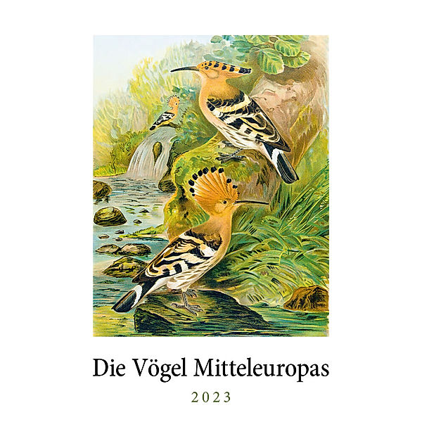 Die Vögel Mitteleuropas. Wandkalender 2023