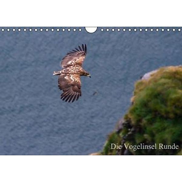 Die Vogelinsel Runde (Wandkalender 2015 DIN A4 quer), H. Gulbins