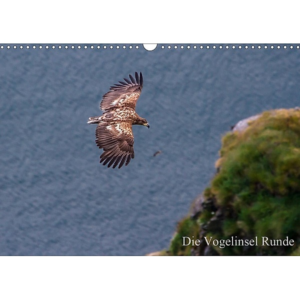 Die Vogelinsel Runde (Wandkalender 2021 DIN A3 quer), H. Gulbins