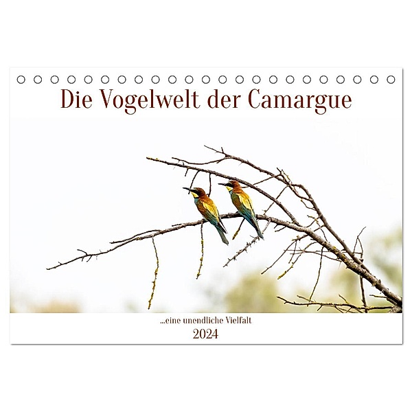 Die Vogelwelt der Camargue (Tischkalender 2024 DIN A5 quer), CALVENDO Monatskalender, Brigitte Dürr